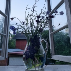 Ольга Коскина, 10.08.1972, Санкт-Петербург