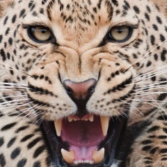 Амина Карашаева, 30.08, Нальчик