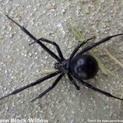 Яна Зверева, 28.10.1986, Донецк