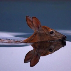 Дарья Еганян, 20.10.1988, Санкт-Петербург