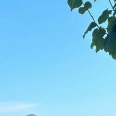 Таня Цырульникова, 24.05.1970, Санкт-Петербург