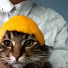 Юлия Евдокименко, 25.04, Киев