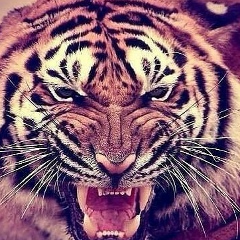 Ясмина Оруджева, 15.05.1999, Махачкала