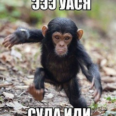 Женя Лямзин, 09.12.1992, Новоалександровск