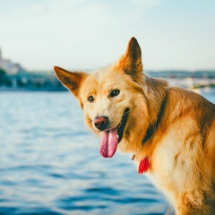 Маша Маша, 06.11, Москва