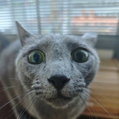 Анна Сидорова, 15.02.1980, Санкт-Петербург