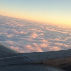 Гаухар Конарбаева, 25.12, Астана