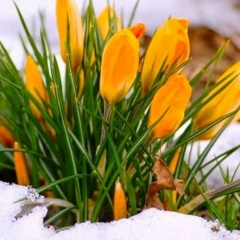 Ольга Дуганова, Москва