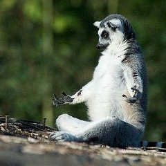 Артур Хайдаров