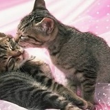 Оксана Зданович, 01.07, Мурманск