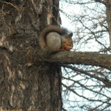 Роман Кольца, 18.06.1973, Санкт-Петербург