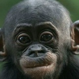 Игорь Леонидов, 09.03.1985