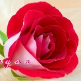 Roza Makinyan, 17.01.1987, Москва