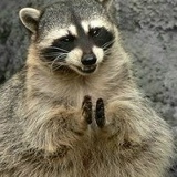 Игорь Истомин, 29.09, Санкт-Петербург