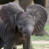 Роман Меркин, 14.04, Санкт-Петербург