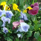 Елена Калинина, 19.09, Москва