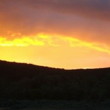 Настя Шелепова, 14.08.1983, Тюмень