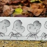 Надежда Битюкова, 08.02.1993, Санкт-Петербург