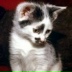 Алла Пяташова, 07.04.2008