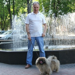 Николай Лештан, Брянск