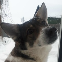 Владимир Сергеев, 19.12, Саратов