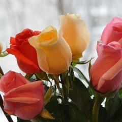 Zhibek Baisbaeva, 22.05.1992, Астана