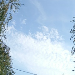 Жорж Милославский, 06.06, Санкт-Петербург