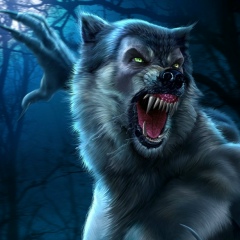Wolf Wild, 07.12.1993