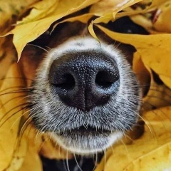 Михаил Алексеевич, 21.06