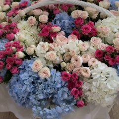 Актоты Тулемисова, 11.11, Астана