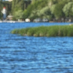 Маргарита Моргун, 24.06