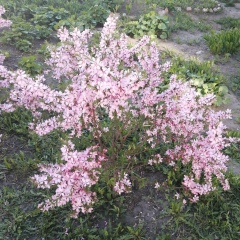 Марина Филатова, 08.03.1990, Курган