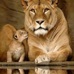 Гульнара Жандосова, 07.08.1978, Шымкент