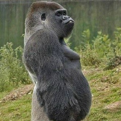 Павел Гончаров, 10.05