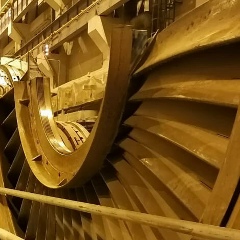 Павел Баштаков, 18.03.1979, Санкт-Петербург