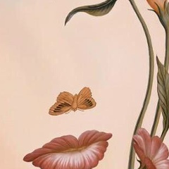 Елена Юрьева, 26.12, Херсон