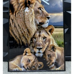 Светлана Бельяминова, 23.02, Жезказган