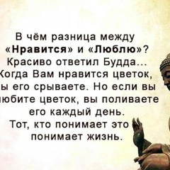 Александр Куткин