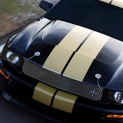 Роман Ларин, 30.10.1998, Новосибирск