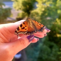 Анна Гудкова, 14.12, Москва