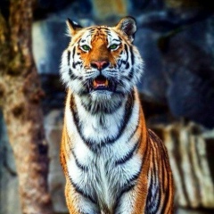 Александр Яковлев, 03.06, Уфа