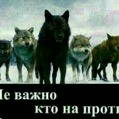 Даулет Сейсебаев, 05.06