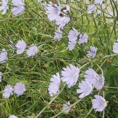 Татьяна Иванова, 31.01.2007, Санкт-Петербург