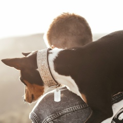 Zammy Чп, 13.03.1985, Москва