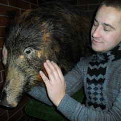 Бодик Скаковский, Киев