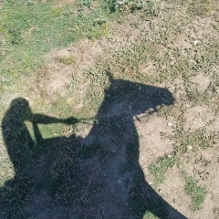 Magomed Ktjh