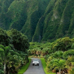 Вахид Кулиев, 04.12, Москва