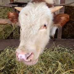 Михаил Скляренко, 13.07.1981, Минеральные Воды