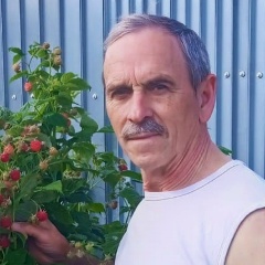 Виктор Рыженко, 27.10.1956, Воронеж