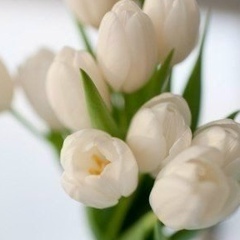 Madina Manap, 29.04, Астана